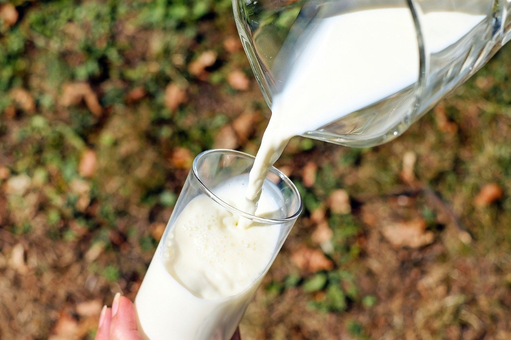 3 wetenschappelijk onderbouwde gezondheidsvoordelen van melk