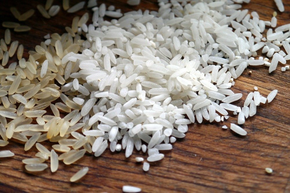 Rijst, een veelzijdig basisproduct
